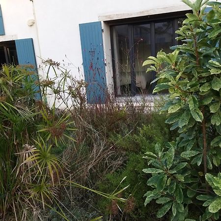 Hotel Sucre Sale Le Port-des-Barques Zewnętrze zdjęcie